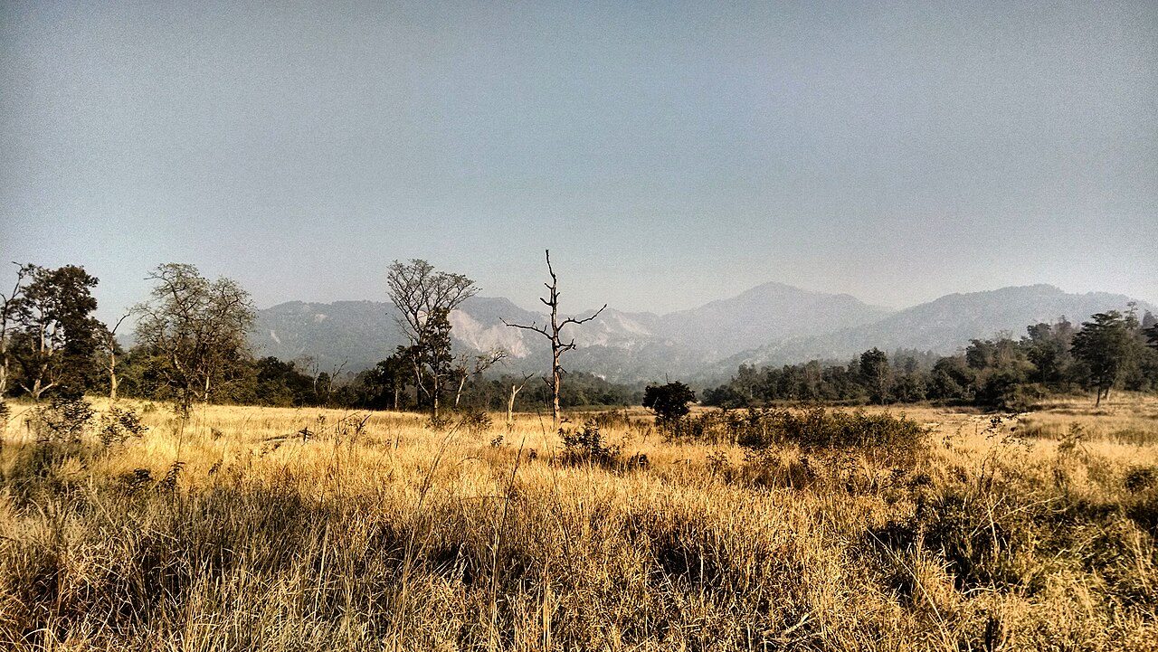 Rajaji National Park