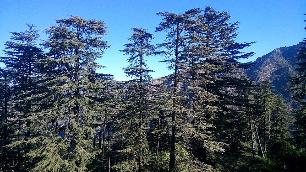 Dhanaulti Eco Park