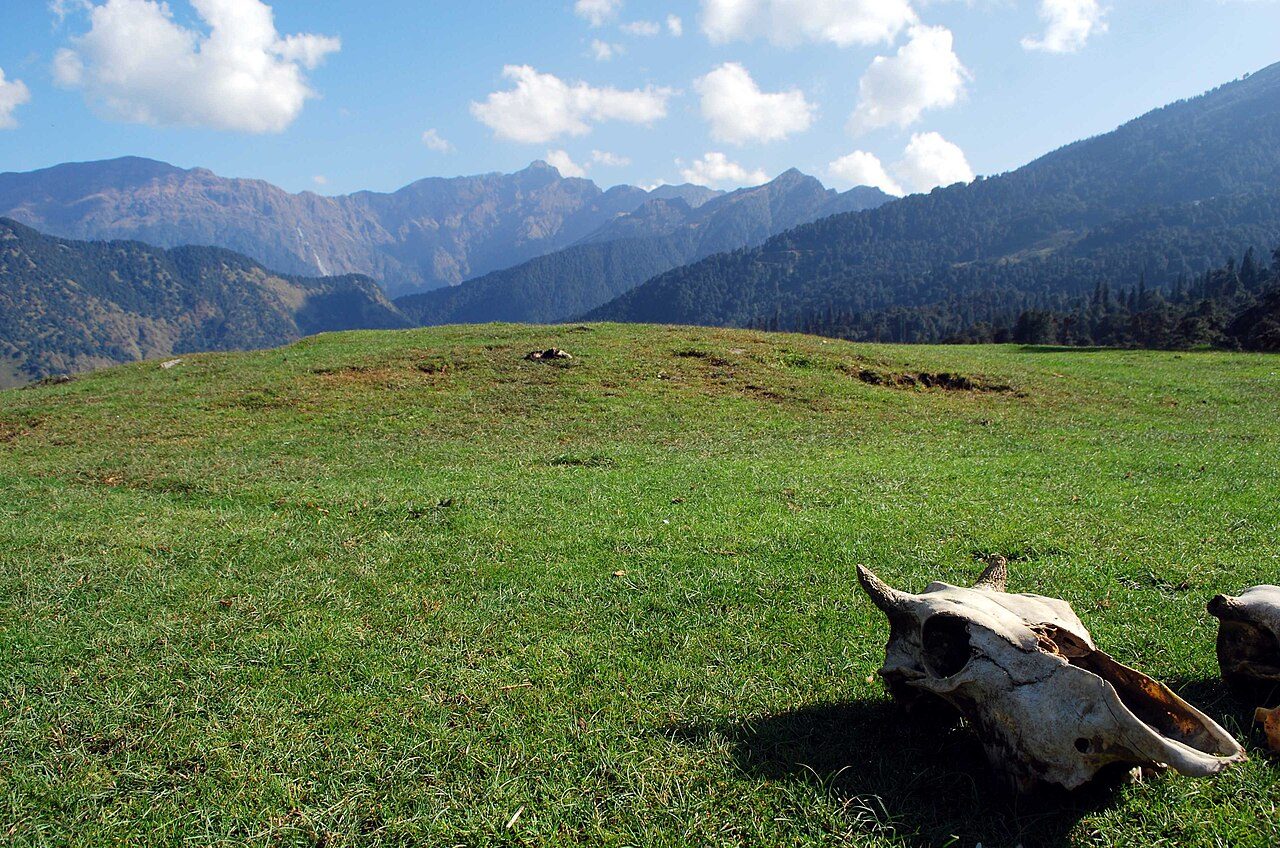 Chopta