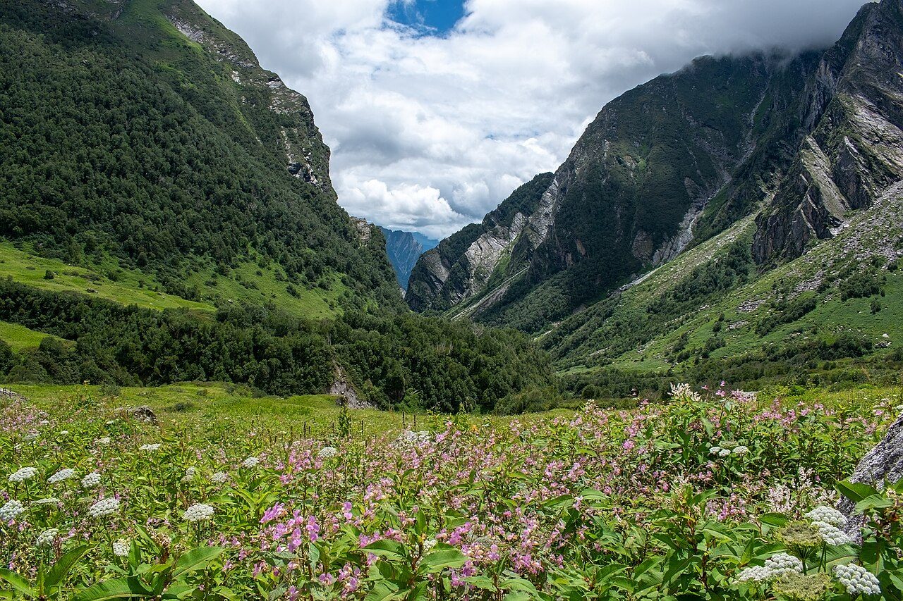 Valley of Flowers and Hemkund Sahib in 4 Days