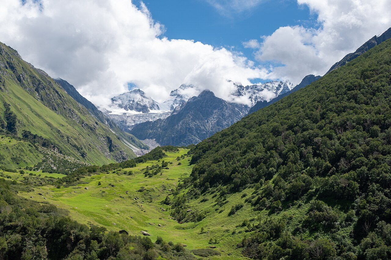 Valley of Flowers National Park