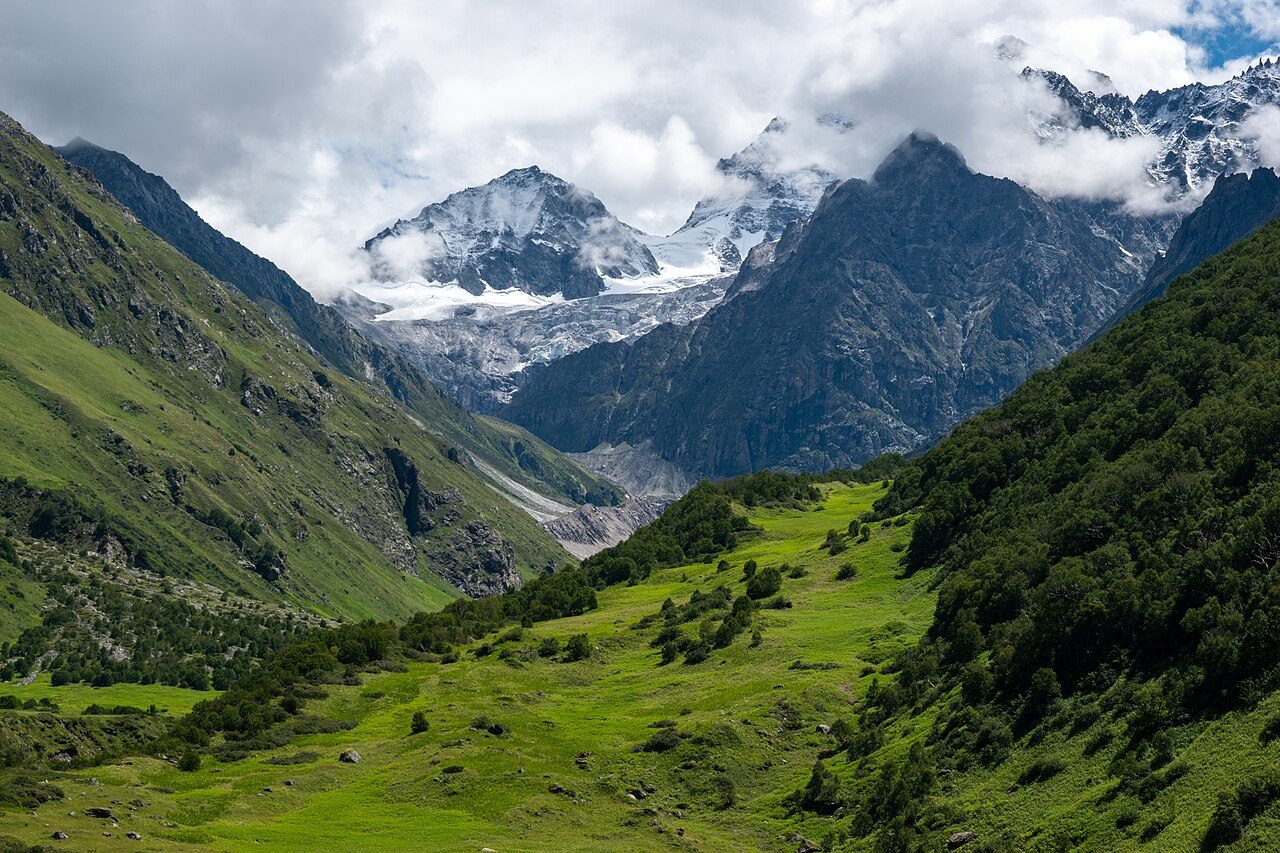 Valley of Flowers National Park