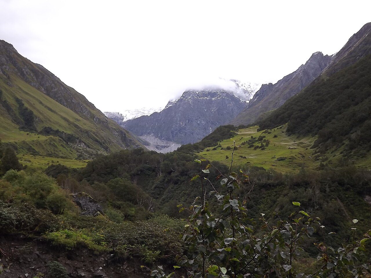 Valley of Flowers National Park
