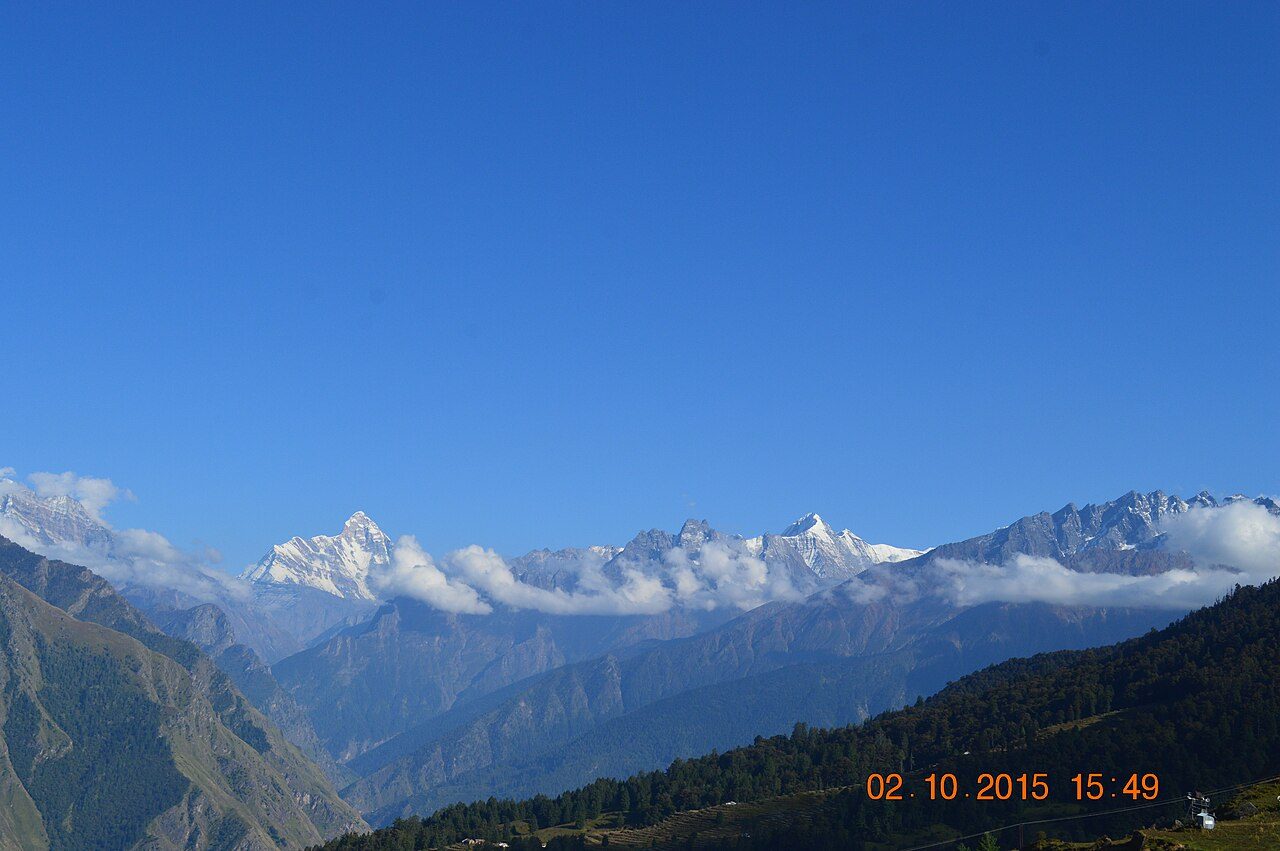 Auli