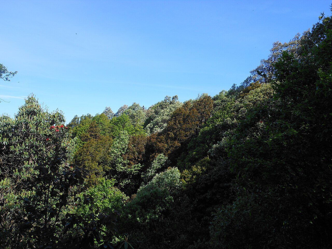Binsar Wildlife Sanctuary