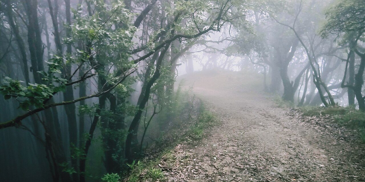 Binsar Wildlife Sanctuary
