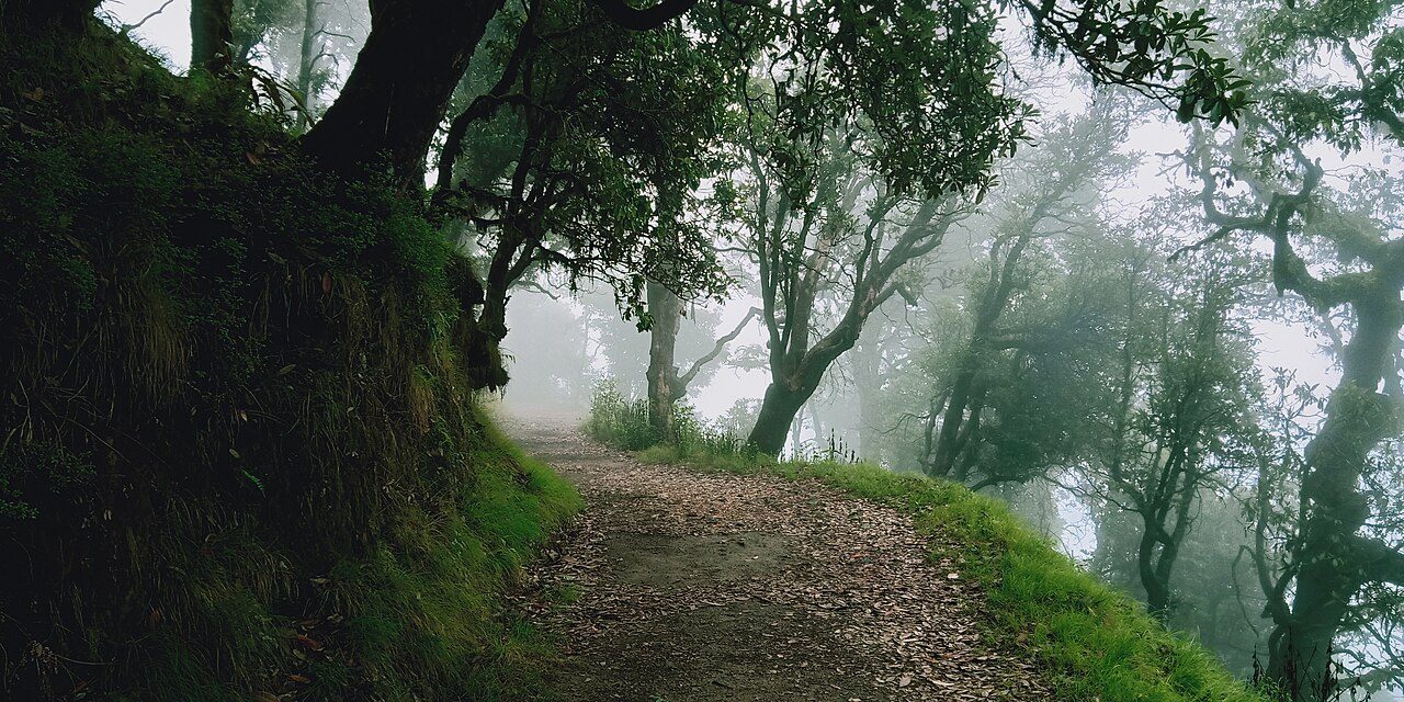 Binsar Wildlife Sanctuary