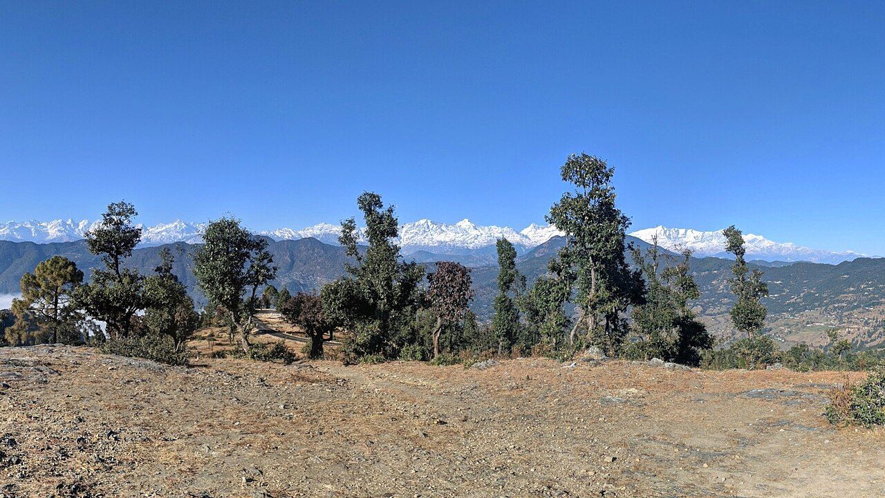 Chaukori