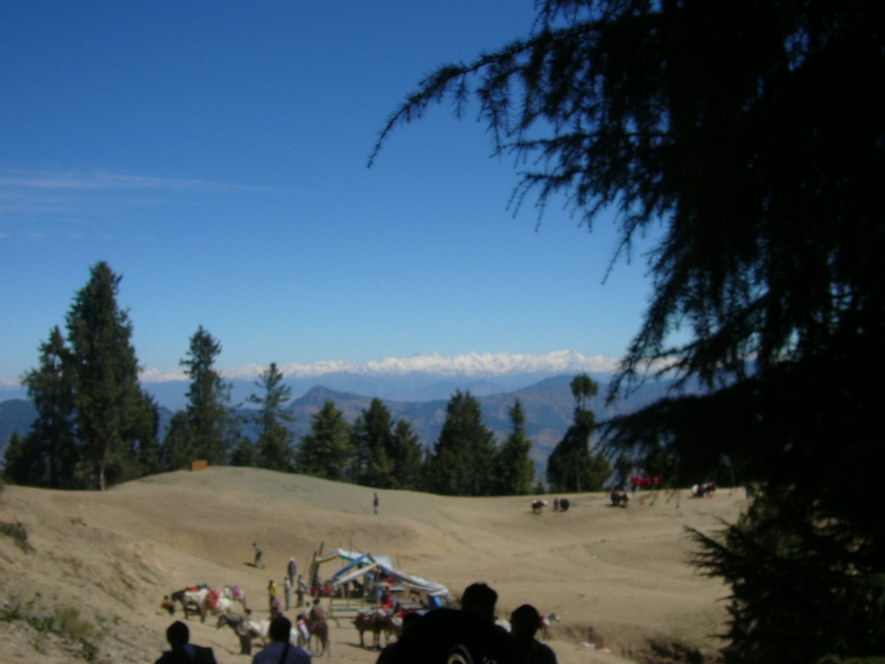 Kufri