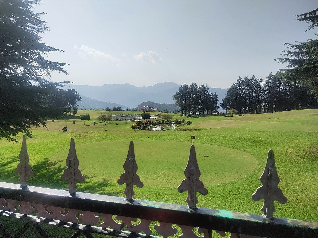 Naldehra