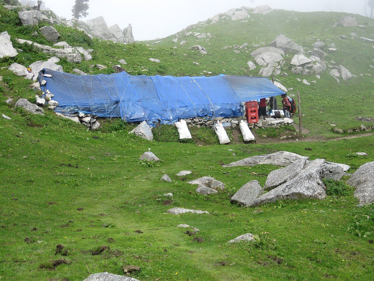 Triund