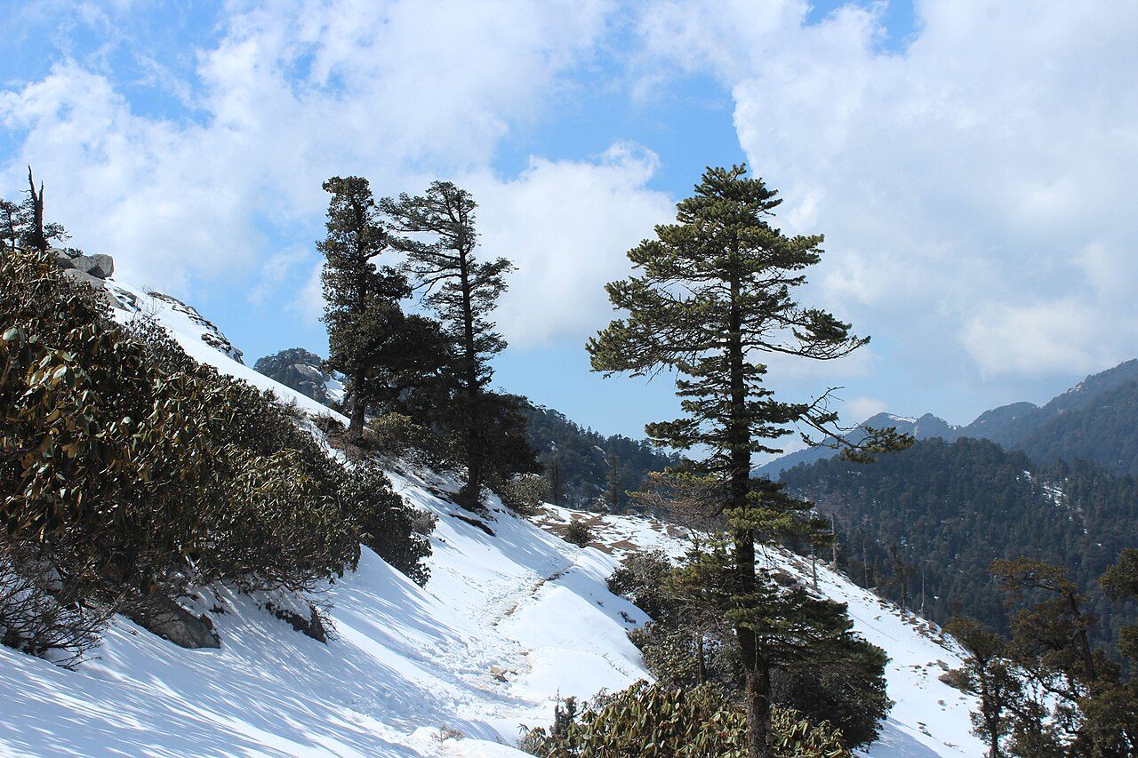 Churdhar Peak