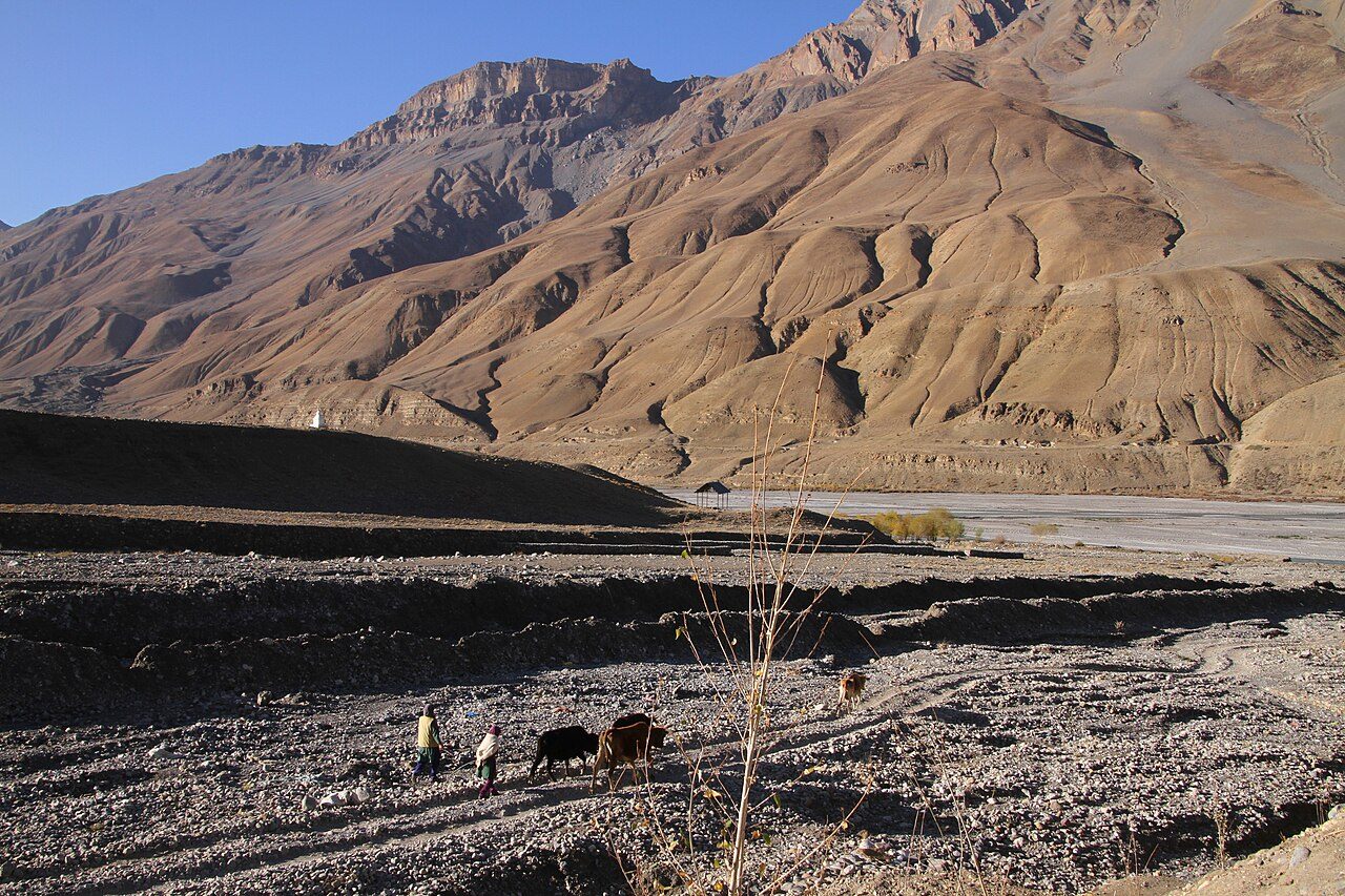 Kaza