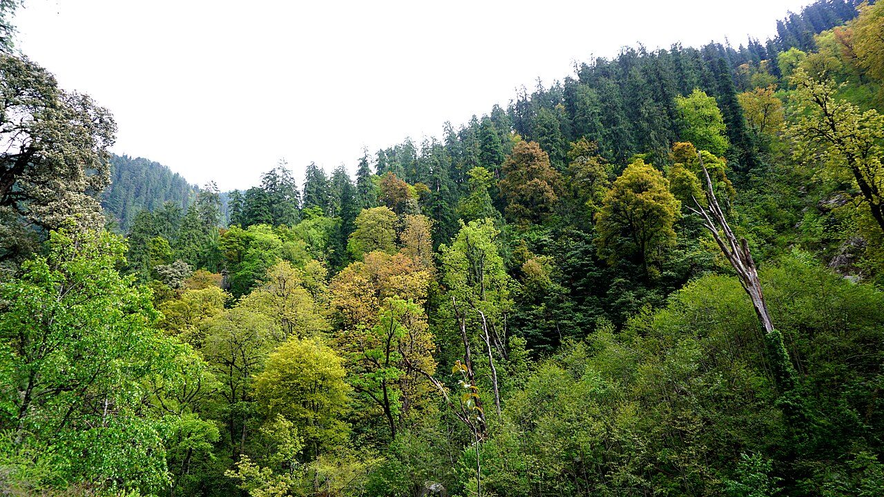 Great Himalayan National Park