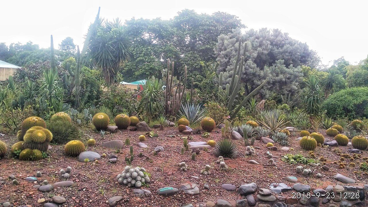 Cactus Garden Panchkula