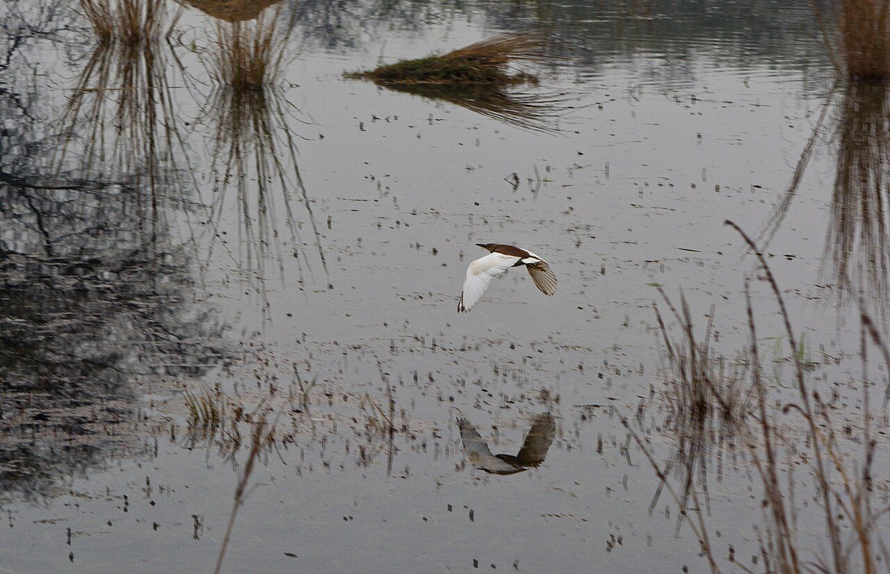 Sultanpur National Park