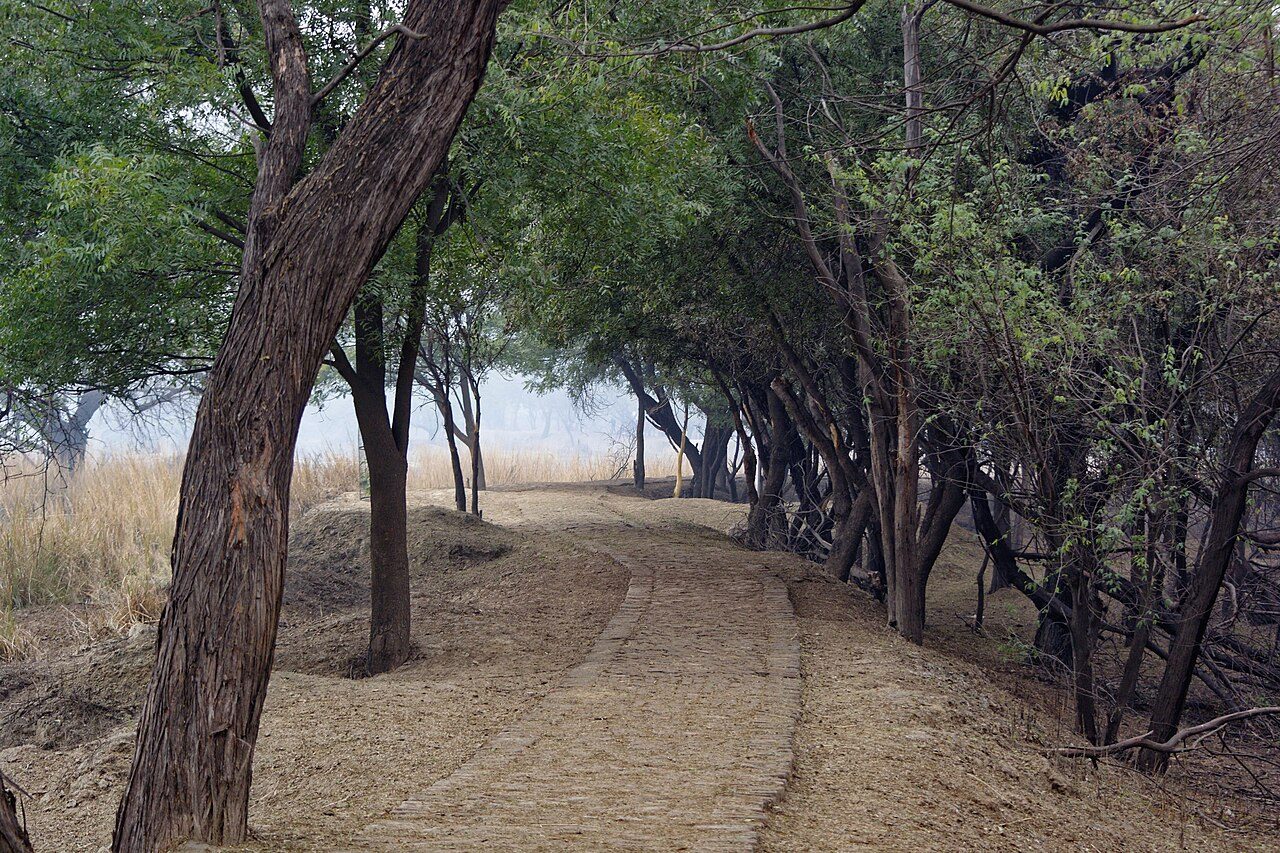 Sultanpur National Park