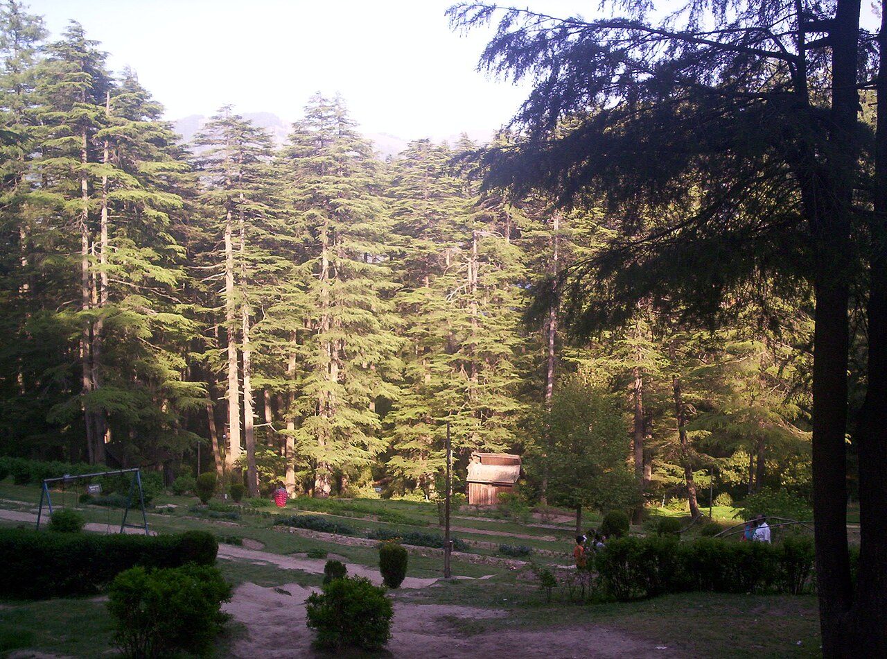 Patnitop