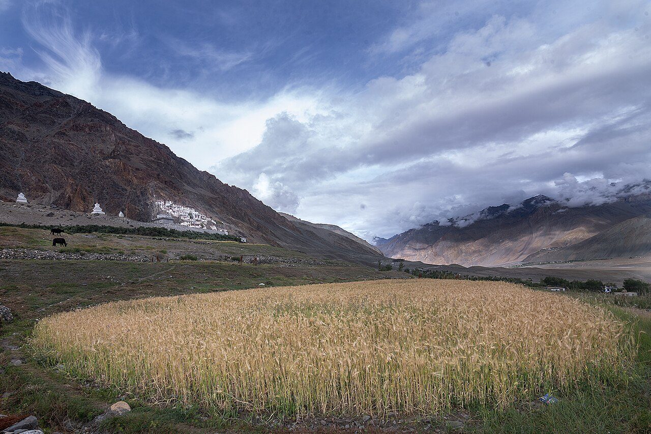 Karsha Monastery