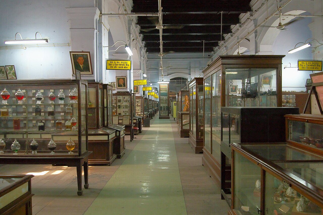 Indian Museum