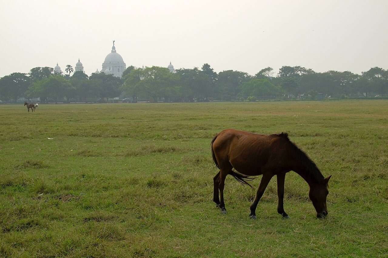 Maidan Kolkata