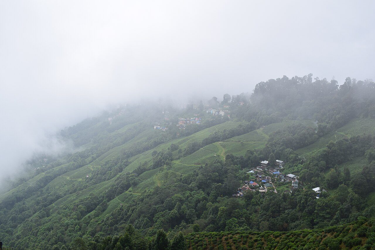 Happy Valley Tea Estate