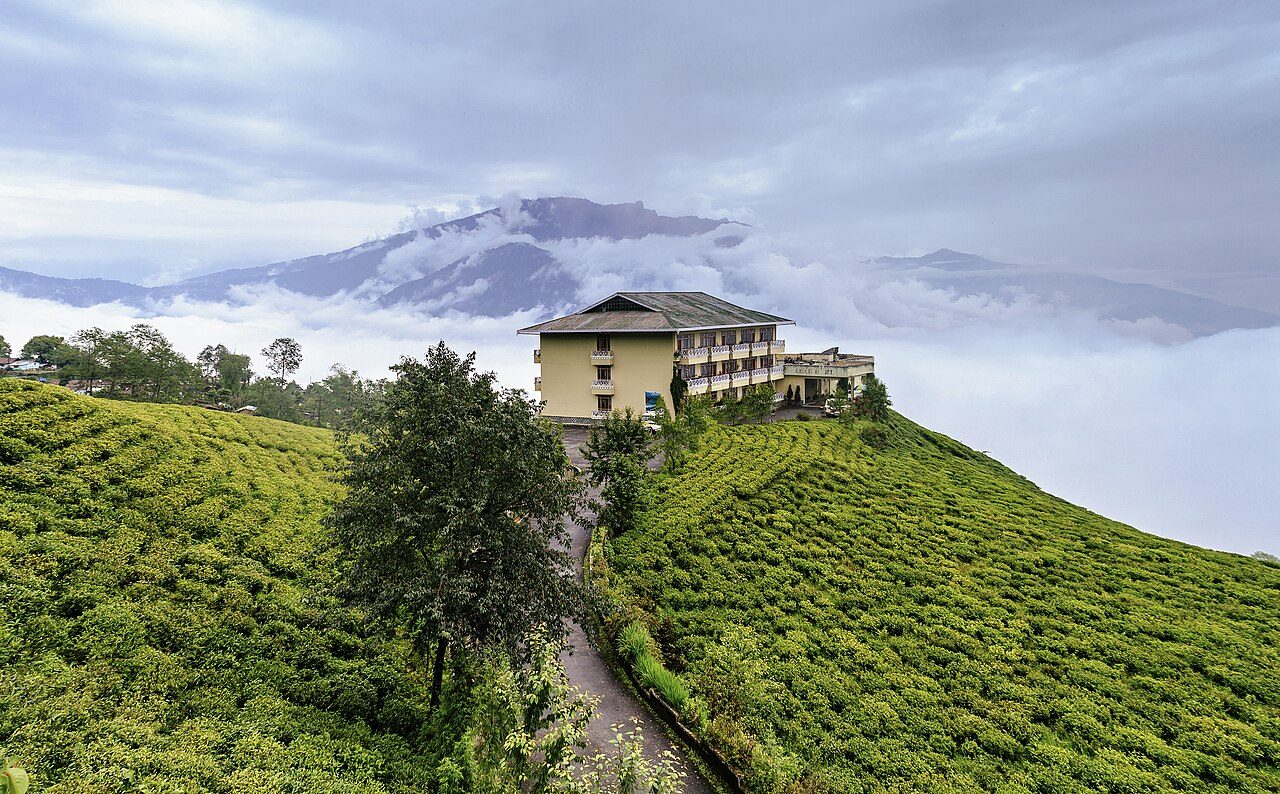 Temi Tea Garden