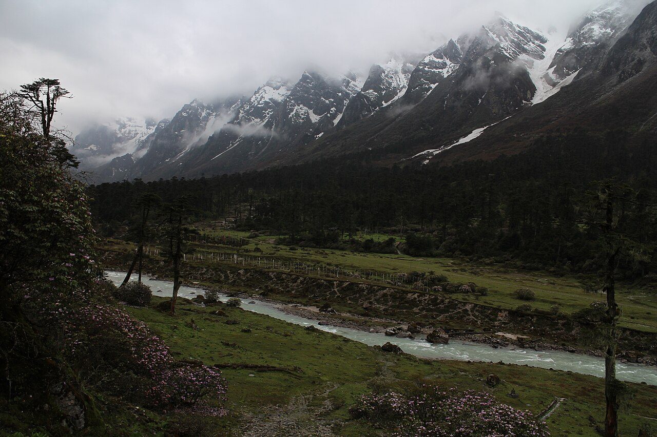 Yumthang Valley