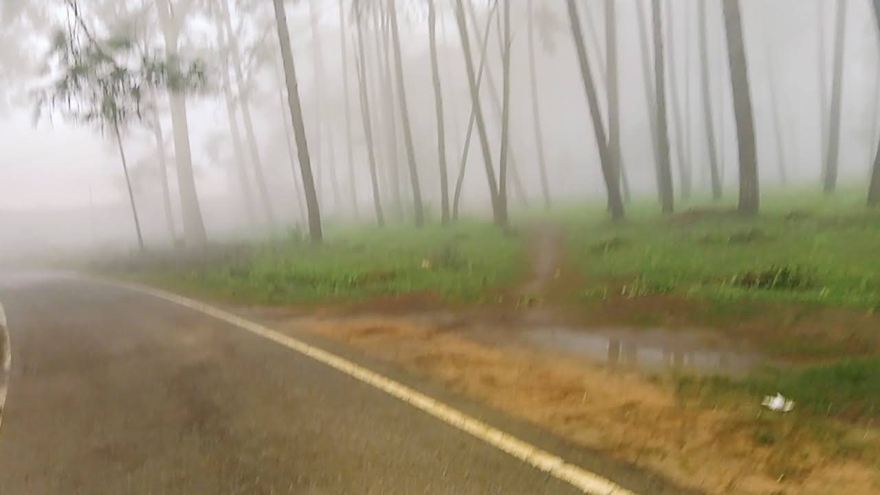 Netarhat
