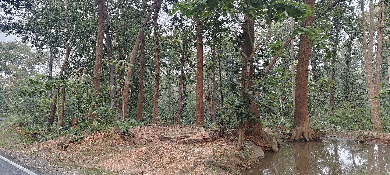 Betla National Park
