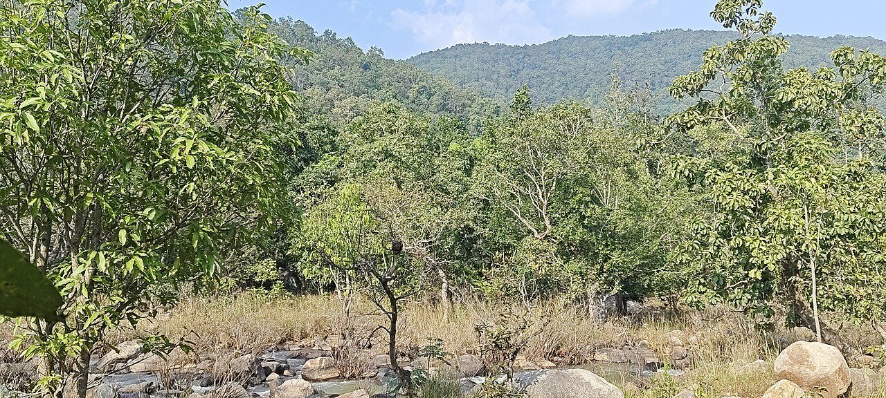 Betla National Park