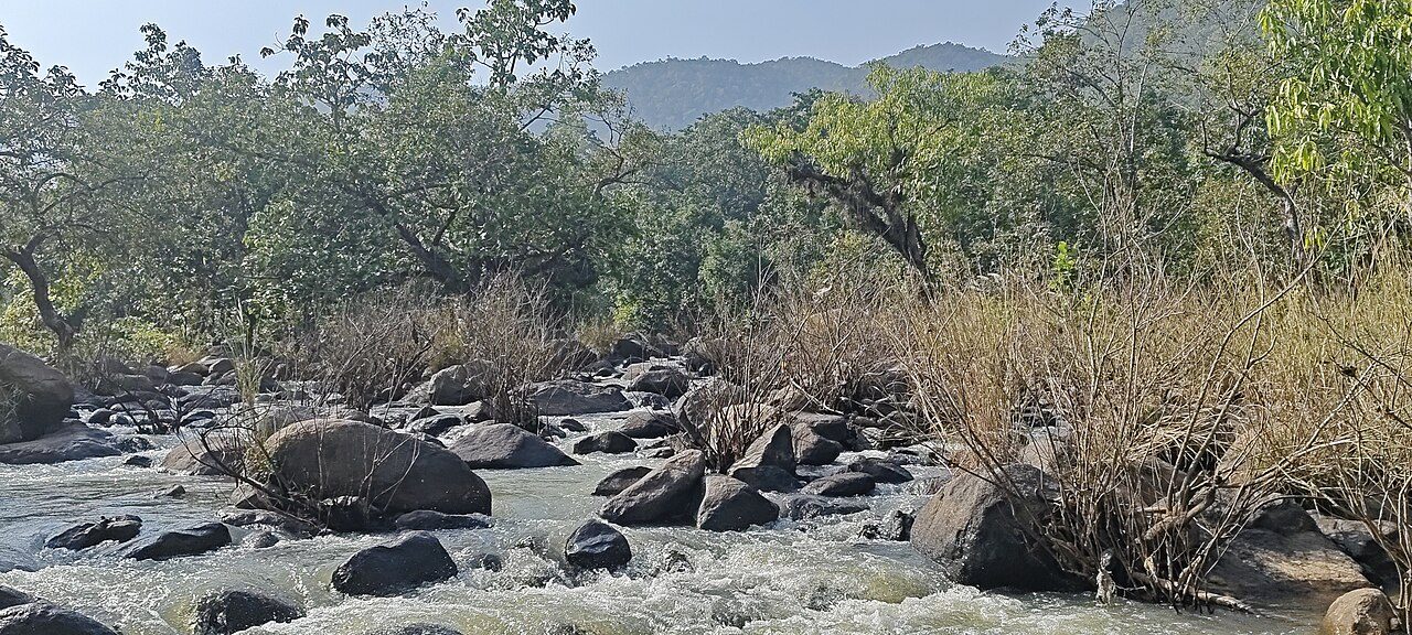 Betla National Park
