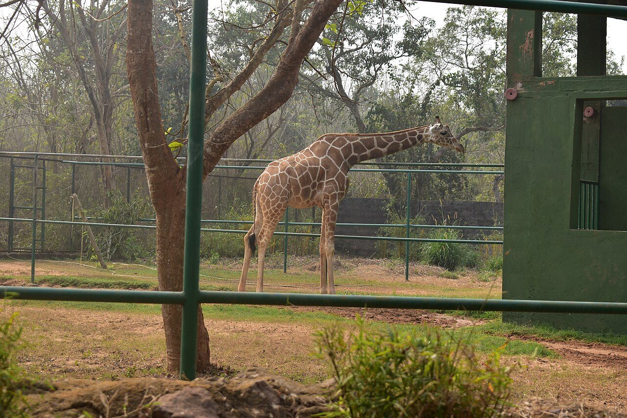 Nandankanan Zoological Park