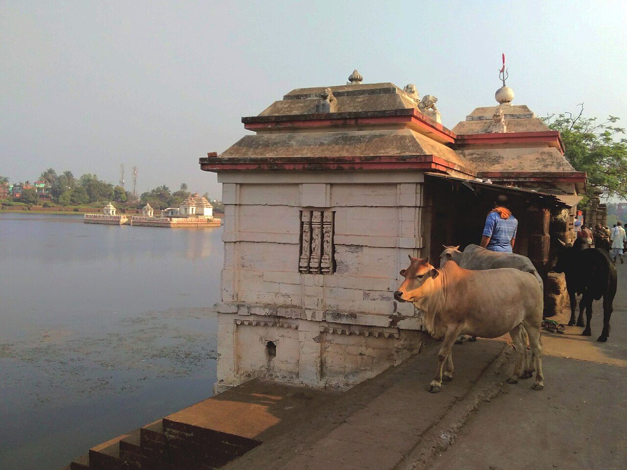 Bindusagar Lake