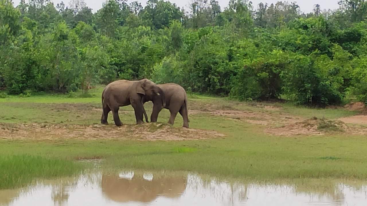 Simlipal National Park