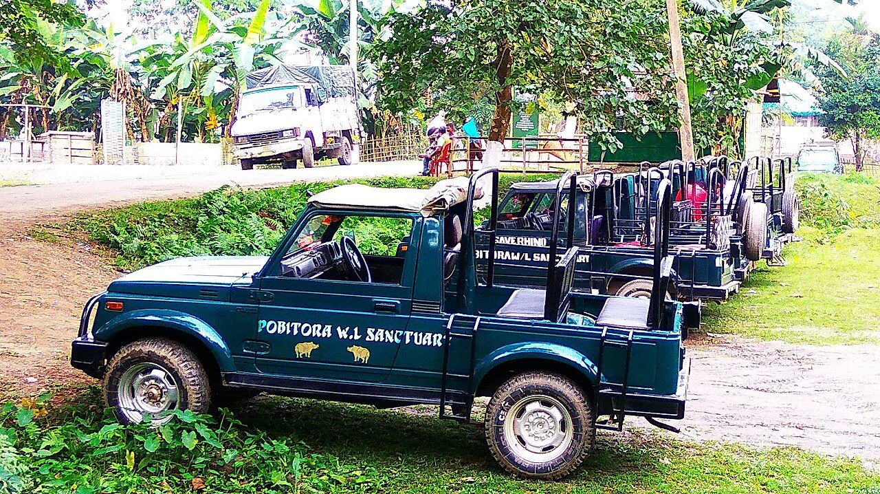 Pobitora Wildlife Sanctuary