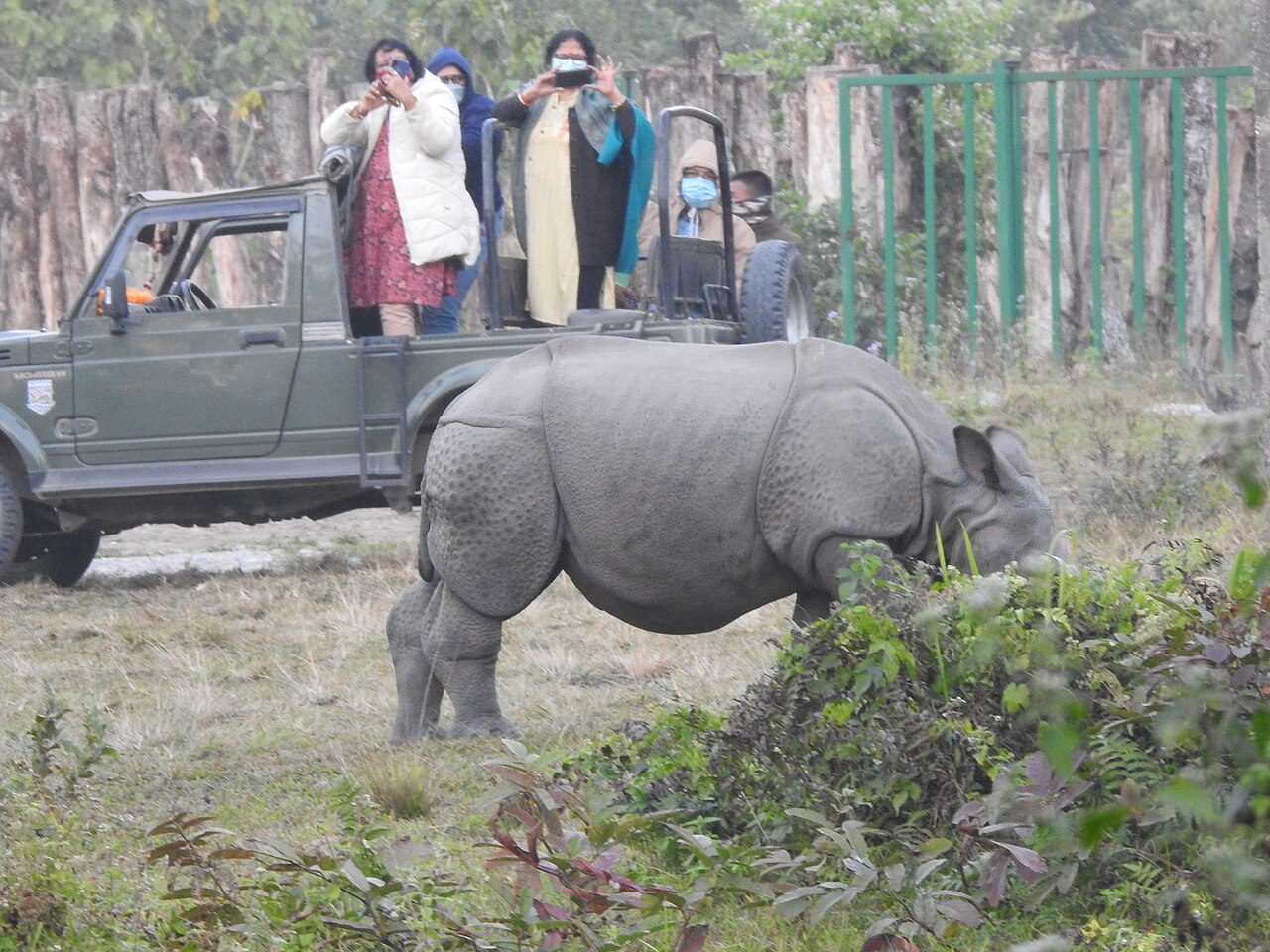 Manas National Park