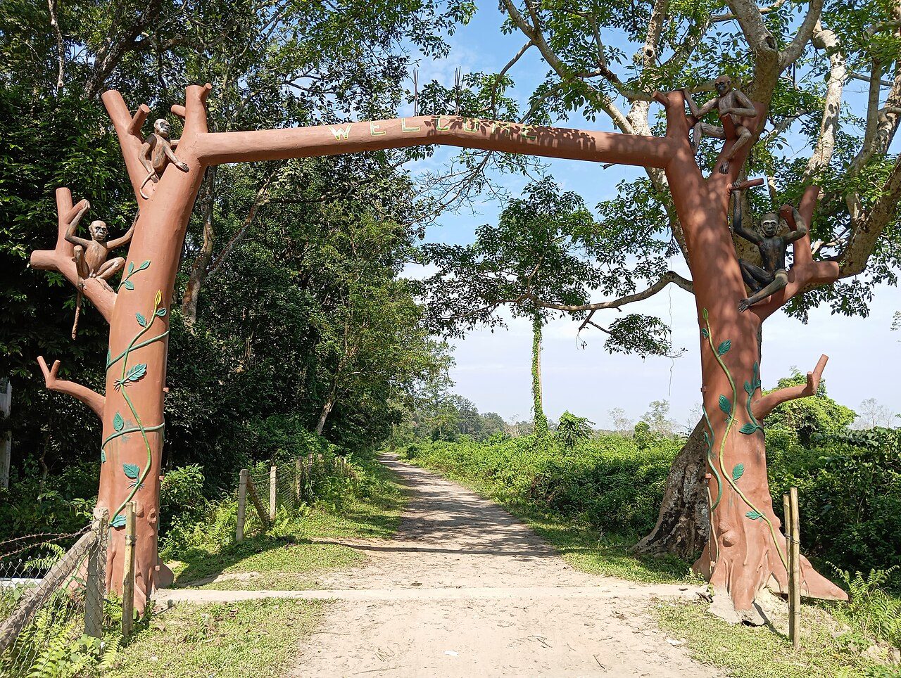 Hoollongapar Gibbon Sanctuary