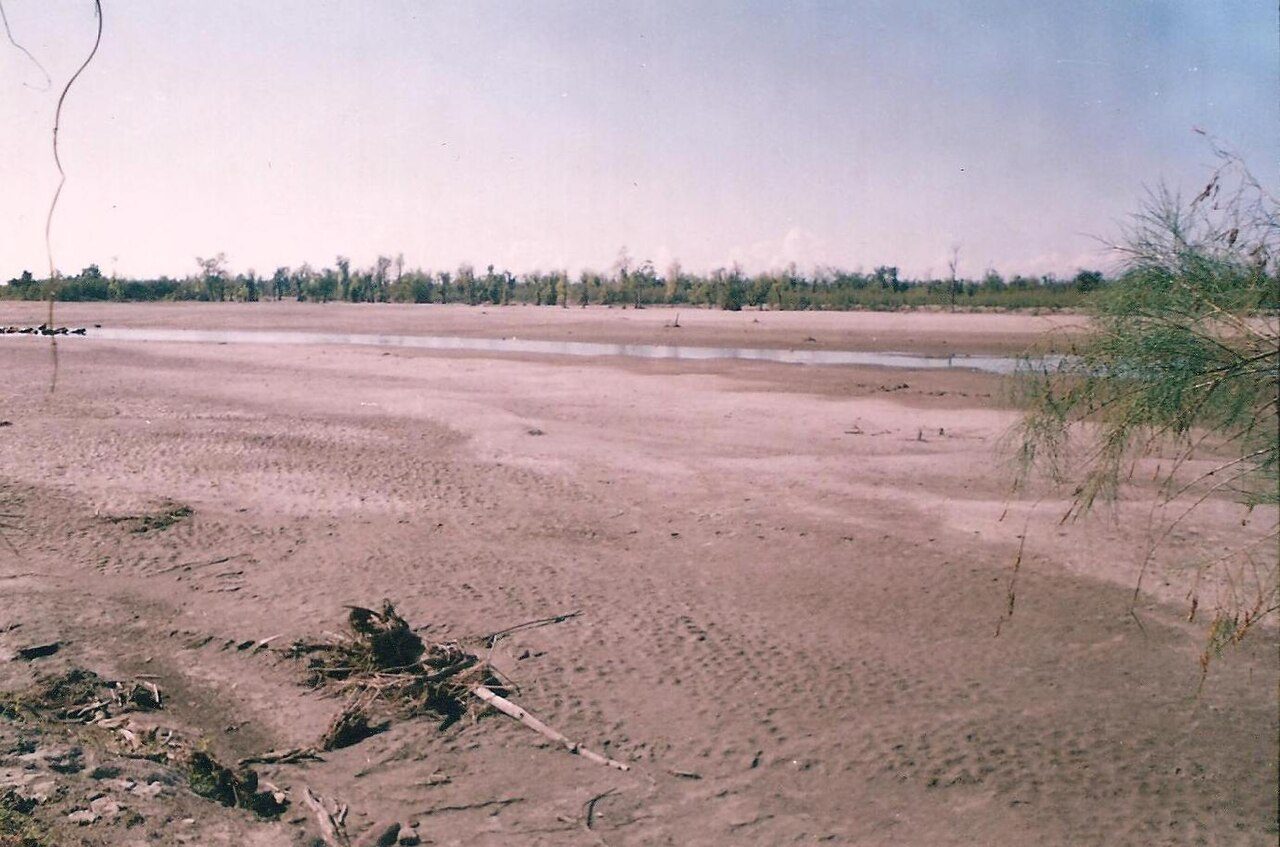 Dibru Saikhowa National Park