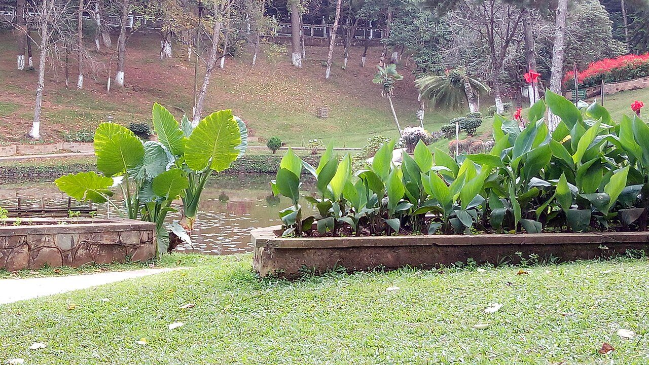 Ward's Lake