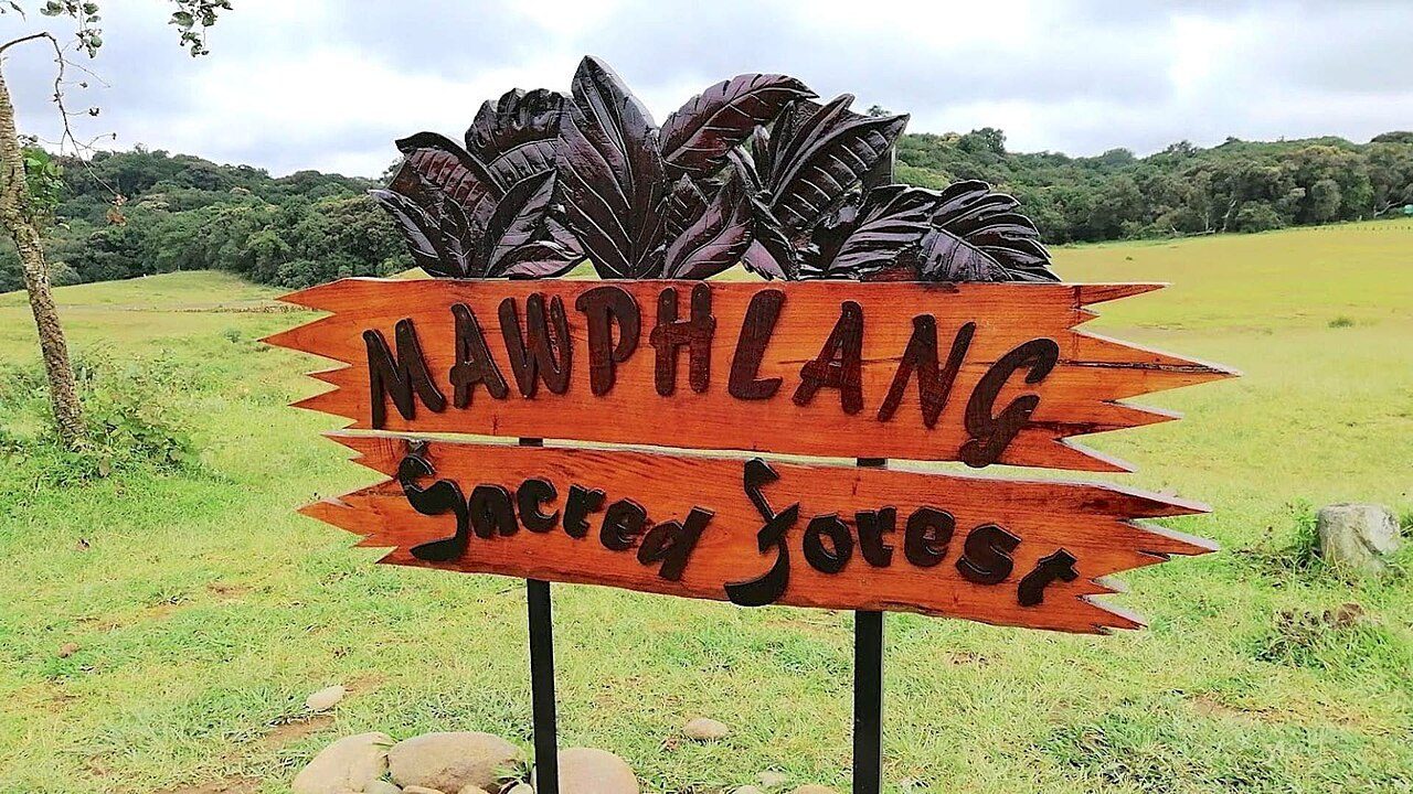 Mawphlang Sacred Grove