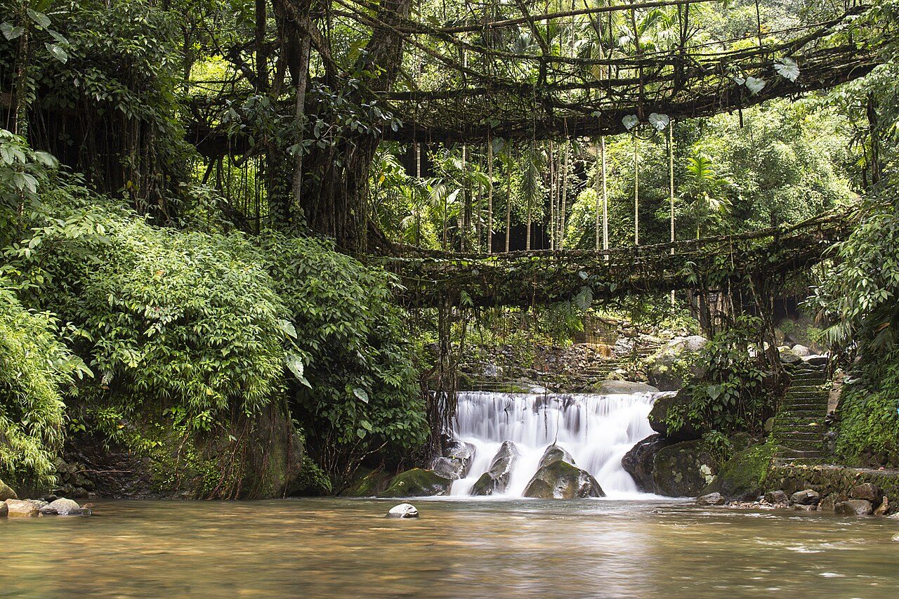 Double Decker Living Root Bridge