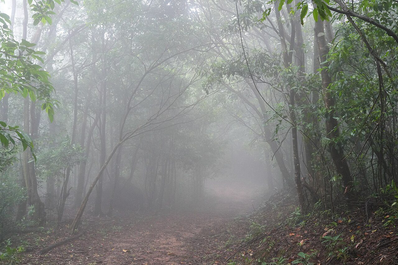 The Garo Hills in 2 Days: Nokrek and Siju Cave