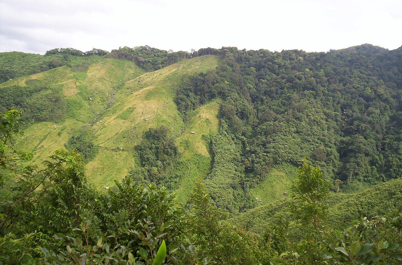 Nokrek National Park