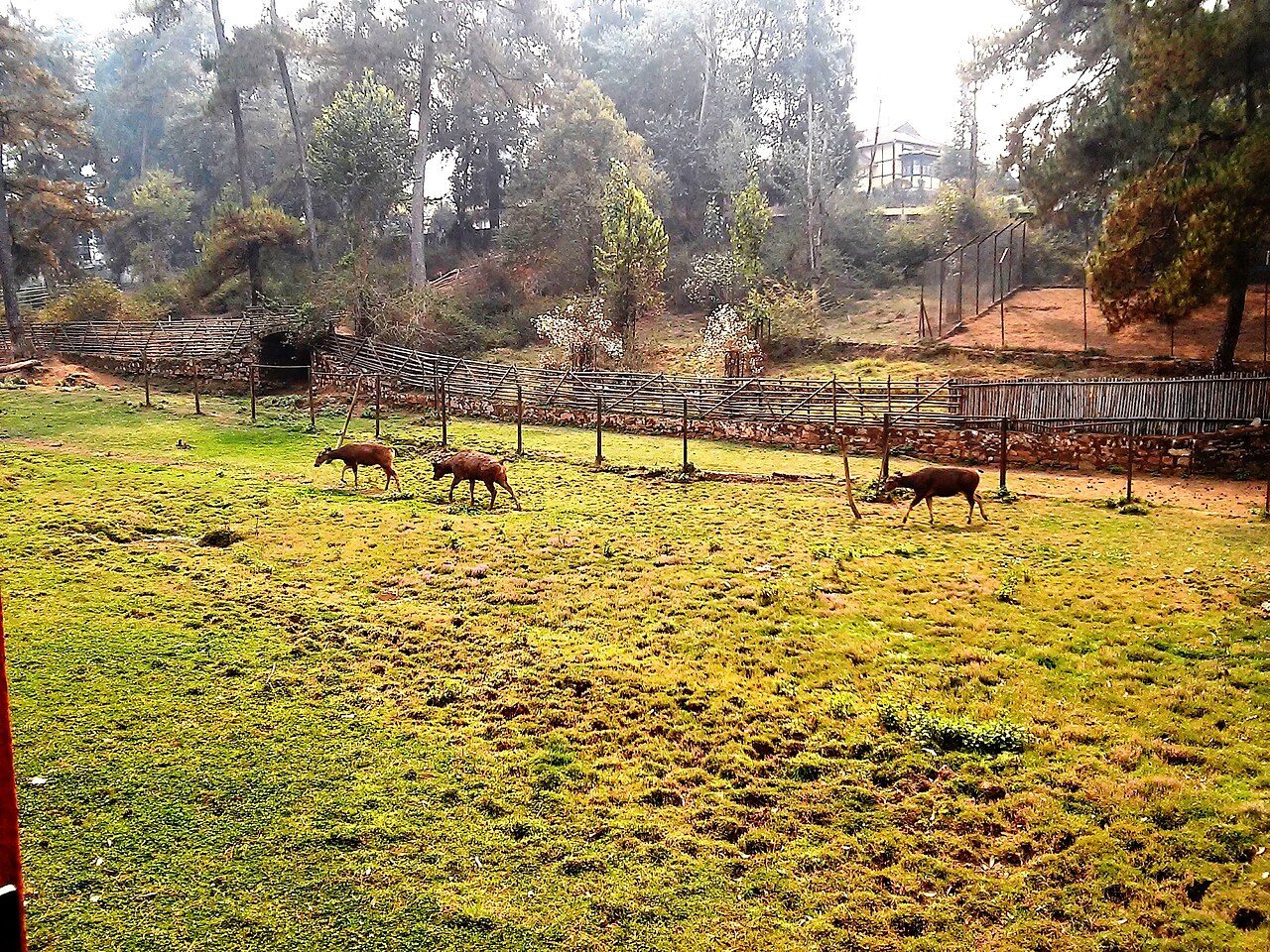 Lady Hydari Park