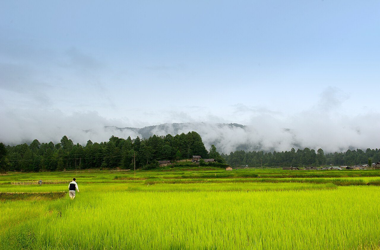 Ziro Valley