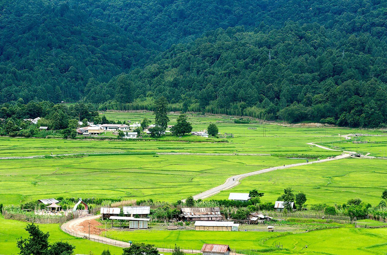 Ziro Valley