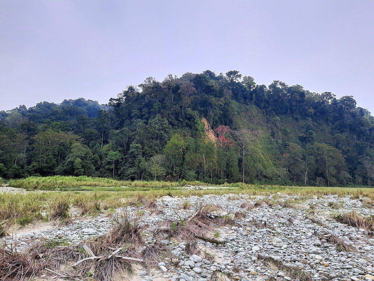 Namdapha National Park
