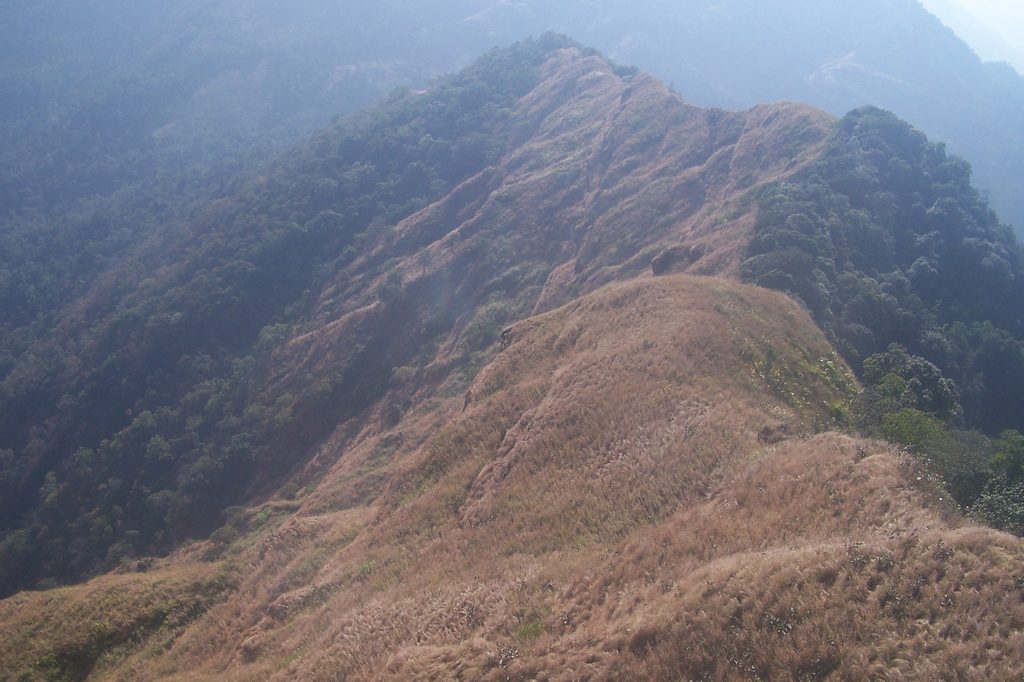 Reiek Tlang