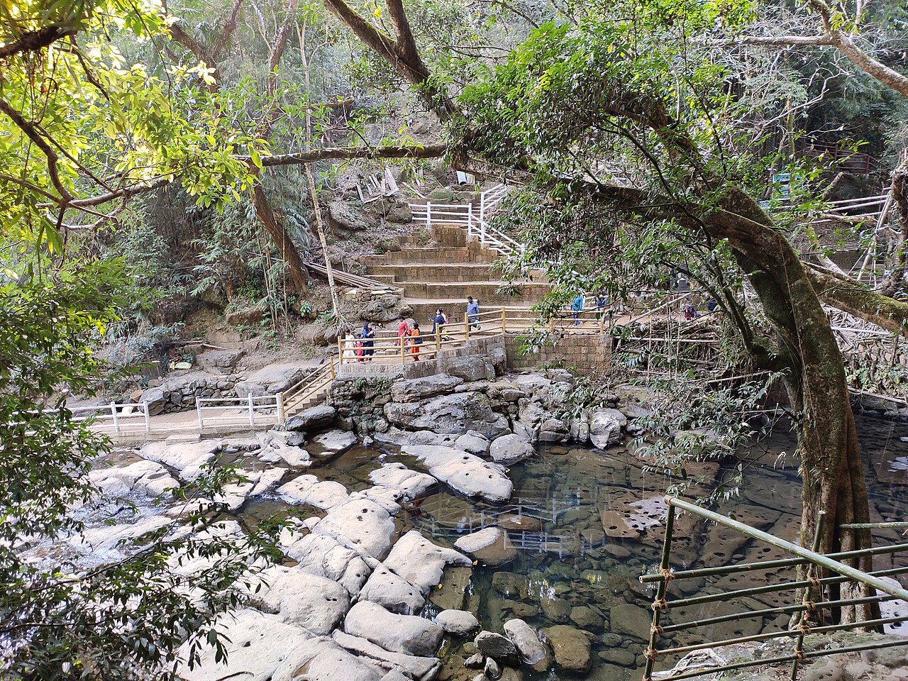 Riwai Living Root Bridge